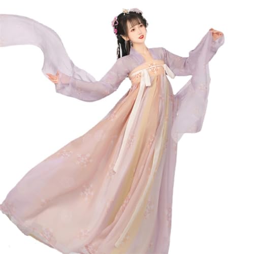 VDCVADKYE Chinesisches Hanfu-Kleid, Tang-Stil Hanfu Frauen im chinesischen Stil Ru Rock alte Kleidung Frauen Han Elemente(Purple,Large) von VDCVADKYE