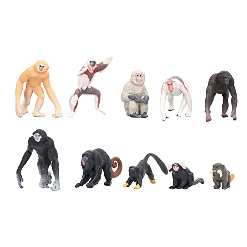 VGEBY Tiermodelle, 10-teiliges Primatenmodell, Mini-Nasenaffe, Gibbon, Orang-Utan, Lemur, Tier-Ornament-Set Kunsthandwerkliches Spielzeug von VGEBY