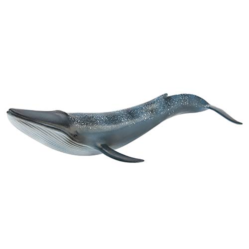 VGEBY1 Wal-Figur-Modelle, Sea Life Marine Animal Whale Simulationsmodell für Wohnaccessoires(Blauwal) von VGEBY1