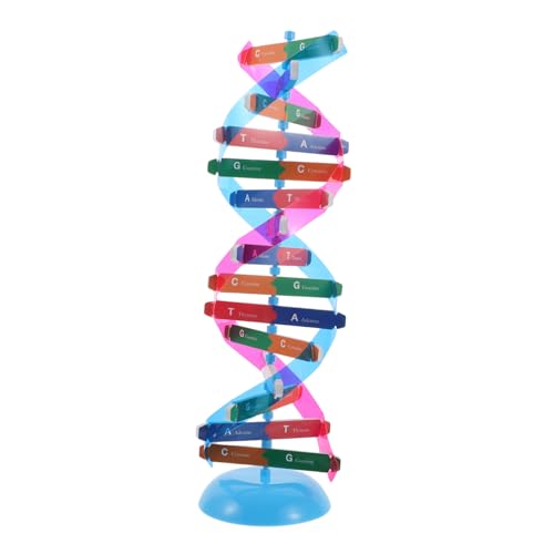 VICASKY 1 Satz Doppelhelix-Modell Doppelhelix-kit Zellmodell Doppeltes Modell Student Doppelte Werkzeuge Wissenschaftlich Doppel-kit Genmodell Bildung-DNA-Modell Klasse DNA-Modell Plastik von VICASKY