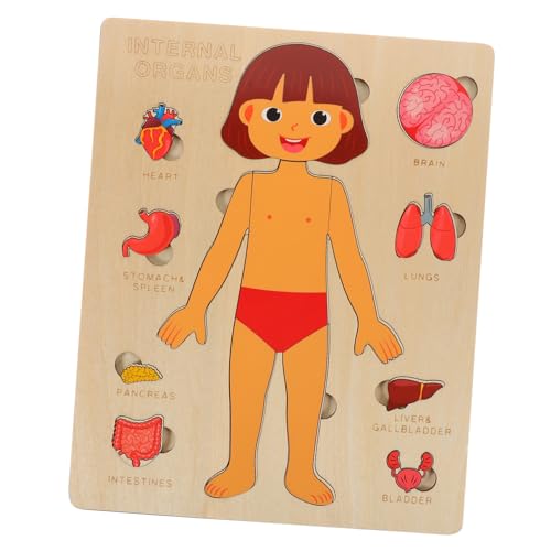 VICASKY 1 Set Puzzle Zur Struktur des Menschlichen Körpers Kinderpuzzle Kinderwerkzeuge Kinderpuzzle Werkzeuge Für Modell des Menschlichen Körpers Kindergartenunterricht von VICASKY