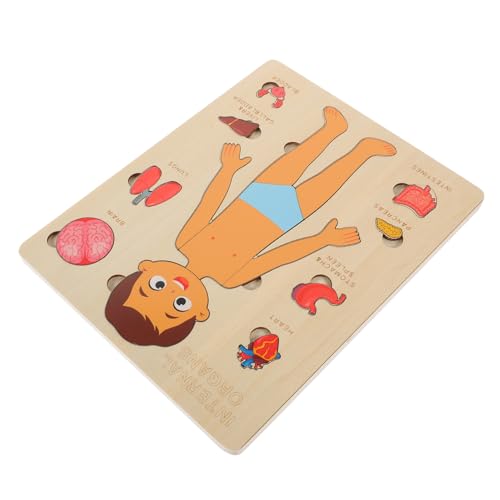 VICASKY 1 Set Puzzle Zur Struktur des Menschlichen Körpers Kinderspielzeug Kinderwerkzeuge Kinderpuzzles Werkzeuge Für Kinderpuzzles Frühlernspielzeug Puzzles Für Körperorgane von VICASKY