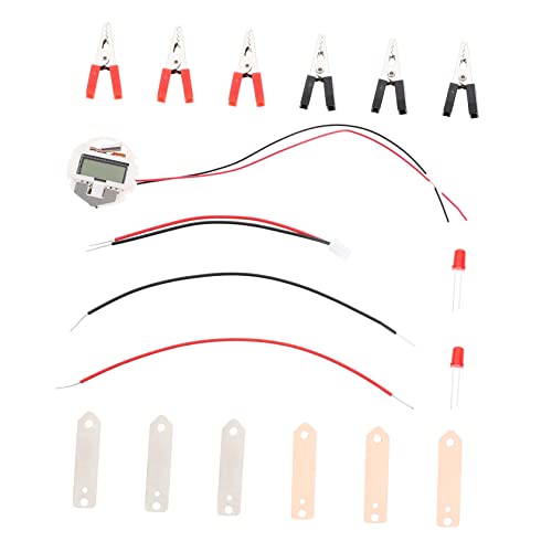 VICASKY 2 Sätze Obst-Experiment Batterie-Kits für Obst Puzzle-Spielzeug Experimentierkasten Kinder experimente Projekt-Kit für Fruchtbatterien Experimentierset für Fruchtbatterien Metall von VICASKY