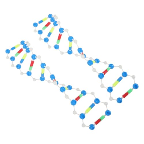 VICASKY 2 Stück DNA Doppelhelix Modellkomponenten Pädagogisches Lehrmodell DNA Lehre Molekulares Modell Selbstmontierendes Modell DNA Modellbausatz von VICASKY