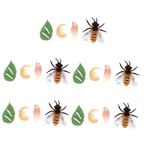 VICASKY 5 Sätze Bienenwachstumsmodell Miniaturen Bienen lebenszyklus Figuren Kleinkindspielzeug weihachtsgeschenk weinachtsgeschenke Miniatures Biene Miniaturmodell Figurenmodell Plastik von VICASKY