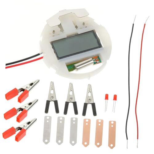 VICASKY 5 Sätze Obst-Experiment Student DIY Obst Batterie Kinder spielset Lernspielzeug aufklärung Kinder Electro Batterien Kartoffeluhr-Fruchtbatterie Fruchtbatterie-Kartoffeluhr Metall von VICASKY