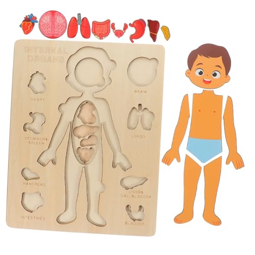 VICASKY Holzpuzzle Für Lernspielzeug Zur Anatomie des Menschlichen Körpers 1 Set Mit Körperorganen Ideales Frühkindliches Bildungs Für Jungen Und ädchen Ab 3 Jahren von VICASKY