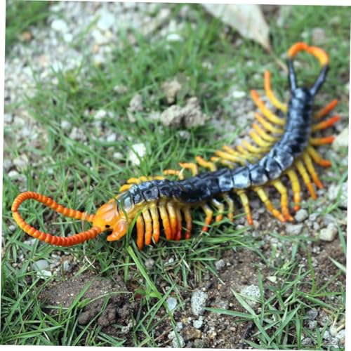 VICASKY Simuliertes Zentipede aus Kunststoff Lebensechtes Statisches Tiermodell Lustiges Fake Tausendfüßler für Partyspaß Realistisches Wildtier Deko objekt VICASKY Simuliertes Zentipede aus Kunststoff Lebensechtes Statisches Tiermodell Lustiges Fake Tausendfüßler für Partyspaß Realistisches Wildtier Deko objekt von VICASKY