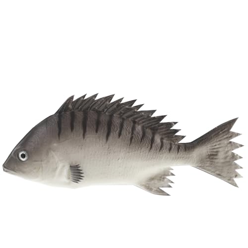 VICASKY simulierte Fischornamente kinderspielzeug Lernspielzeug für Tier Modell Fisch Dekoration Simulation Tiermodell Fisch Fischfiguren Pu Grey von VICASKY