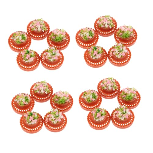 VILLCASE 20 Stück Leichte Kunststoff-blumentöpfe Kompakte für Puppenhaus-Dekoration Multifunktionale Mini Gartenaccessoires für Sandtisch-landschaften VILLCASE 20 Stück Leichte Kunststoff-blumentöpfe Kompakte für Puppenhaus-Dekoration Multifunktionale Mini Gartenaccessoires für Sandtisch-landschaften von VILLCASE