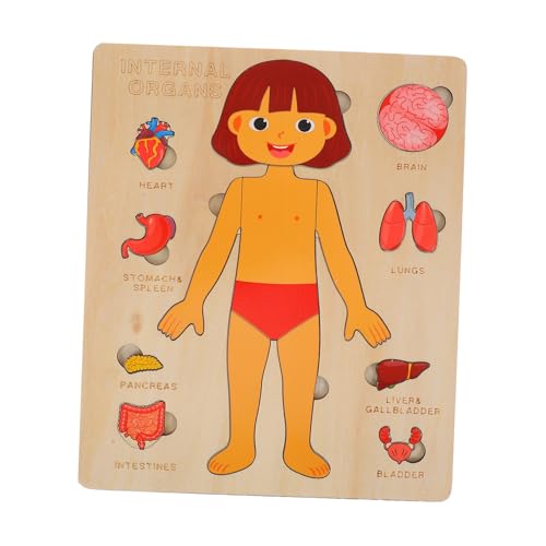 VILLFUL 1 Set Holz Puzzle Für Den Menschlichen Körper Kleinkind Montessori Anatomie Puzzle Menschlicher Körper Lernpuzzle Spielzeug Mit Innerem Organ Englisch Mädchen von VILLFUL