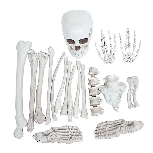 VILLFUL 1 Set Menschliche Skelettknochen Friedhof Human Skulls Spooky Szene Requisiten Partei Liefert von VILLFUL