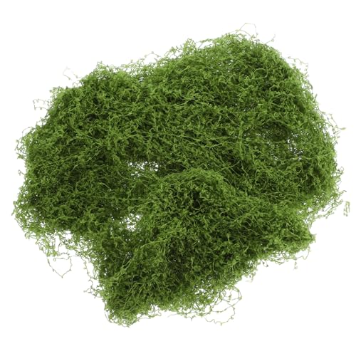 VILLFUL Realistische Miniatur Reben für Modelleisenbahnen Diorama Zubehör Baumwollfaden Langlebig für Kreative Bastelprojekte VILLFUL Realistische Miniatur Reben für Modelleisenbahnen Diorama Zubehör Baumwollfaden Langlebig für Kreative Bastelprojekte von VILLFUL