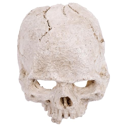 VILLFUL Simuliertes Menschliches Schädelmodell Anatomiemodell Realistisches Menschliches Skelett Menschlicher Schädel Harz Skelettkopf Harzschädelmodell Gefälschte Schädelmodelle von VILLFUL