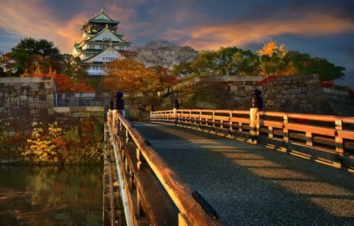 1000-teiliges Challenge-Puzzle für Erwachsene und Kinder, Bäume, Landschaft, Burg, Japan, Osaka, 38 x 26 cm von VRYOP