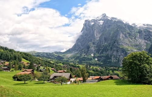 1000-teiliges Puzzle, Lernpuzzle, Familienspiel, Geschenk für Erwachsene und Kinder, Bäume, Berge, Felsen, Schweiz, Dorf, 38 x 26 cm von VRYOP