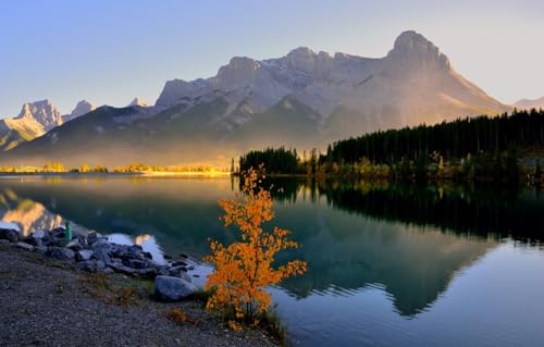 1000-teiliges Puzzle für Erwachsene, Familien-Puzzlespiel zum Stressabbau, schwieriges Herausforderungspuzzle für Erwachsene und Kinder, Bäume, Berge, Kanada, Canmore, Grassi Lake, 70 x 100 cm von VRYOP