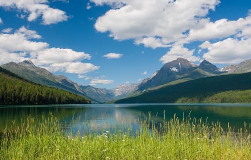 1000-teiliges Puzzle für Erwachsene und Kinder – Puzzle für Erwachsene, 1000 Puzzle-Spielzeug zum Selbermachen, Berge, Montana, Glacier-Nationalpark, Bowman Lake, 70 x 100 cm von VRYOP