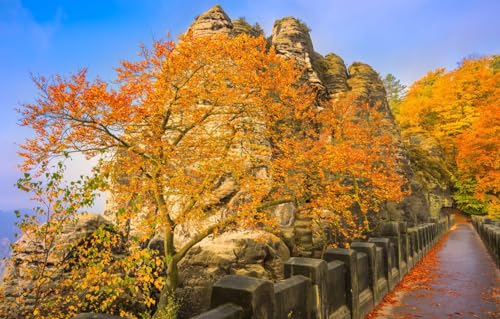 1000-teiliges Puzzle für Erwachsene und Kinder ab 10 Jahren, Deutschland, Bastei, 70 x 50 cm von VRYOP