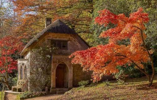 1000-teiliges Puzzle für Erwachsene und Kinder ab 12 Jahren, Bäume, Park, England, Ahorn, Wiltshire, Stourhead Garden, 70 x 100 cm von VRYOP