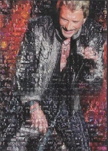 Puzzle 1000 Teile, Poster des französischen Sängers J. Hallyday, lustiges Puzzle für Erwachsene, Spielzeug Gq445Zy, 50 x 70 cm von VRYOP