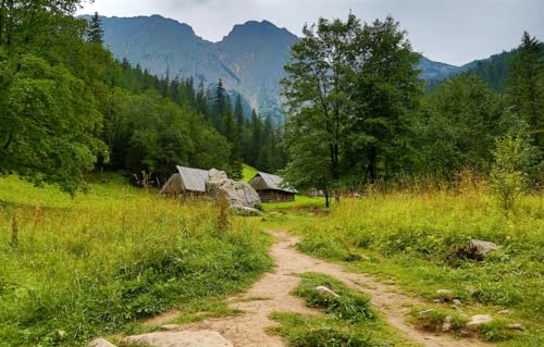 Puzzle 1000 Teile für Erwachsene | 1000-teiliges Puzzle, Lernspiele, Heimdekorationspuzzle, Bäume, Berge, Polen, Zakopane, 38 x 26 cm von VRYOP