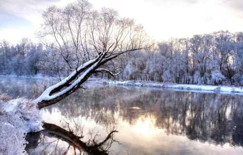 Puzzle aus Fotos, 1000 Teile, für Erwachsene und Teenager, personalisiertes Puzzle, Bäume, Landschaft, gefrorener Wald, Frost, Winterfluss, 38 x 26 cm von VRYOP