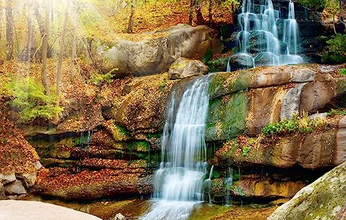 Puzzle für Erwachsene, 1000 Teile, Bäume, Park, Wasserfall, 70 x 50 cm von VRYOP