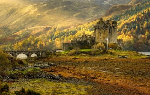 Puzzle für Erwachsene, 1000 Teile, Landschaftspuzzle, Geschenke für Erwachsene, Schottland, Eilean Donan Castle, 70 x 100 cm von VRYOP