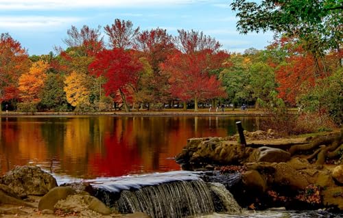 Puzzle für Erwachsene 1000 Teile Puzzle 1000 Teile für Erwachsene Geschenke, Bäume, Park, New York, Babylon, Belmont Lake State Park 70x100CM von VRYOP