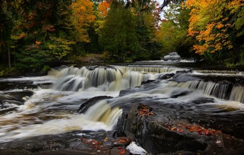 Puzzle für Erwachsene 1000 Teile Puzzle für Erwachsene Geschenke, Wald, Michigan, Bond Falls, Ontonagon River 38x26CM von VRYOP