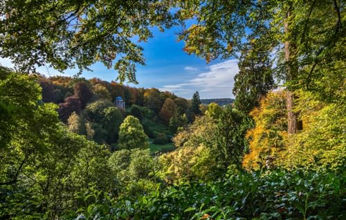 Puzzle für Erwachsene 1000 Teile Puzzle für Erwachsene Puzzle 1000 Teile für Erwachsene Anspruchsvolles Spiel, Bäume, England, Wiltshire, Stourhead Garden, Landschaftspark 38x26CM von VRYOP