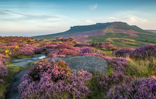 Puzzle mit 1000 Teilen für Erwachsene und Kinder ab 10 Jahren, Großbritannien, Wiesen, Lavendel, Peak District Nationalpark, 70 x 100 cm von VRYOP