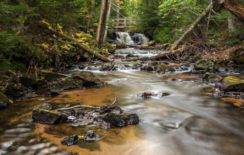 Sammelpuzzle für Erwachsene und Kinder – 1000 Teile, Wald, Wasserfall, Michigan, Alger County, Chapel Falls, 52 x 38 cm von VRYOP