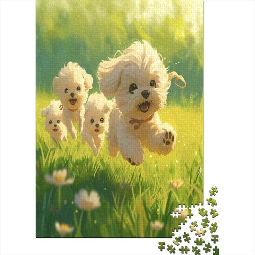 Maltese Hund 1000 Teile, Impossible Puzzle,GesKükenlichkeitsspiel Für Die Ganze Familie, Erwachsenenpuzzle Ab 14 Jahren Puzzel 1000pcs (75x50cm) von VUDBELAFC