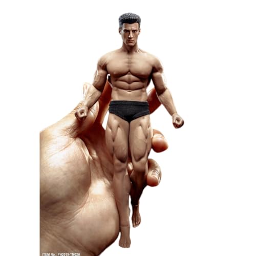 VUSLB 1/12 Scale ActionFigurn Body 6inch Mann Super-Flexible Seamless Strong Muscle Man militär Body Doll Full Set Toys Collection (Pale Muscle) von VUSLB