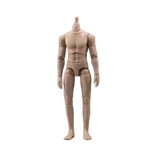 VUSLB 1/12 Scale Mann militär Body 6inch Mann Joint Flexible Strong Muscular ActionFigurn Body Collectible (Suntan Skin) von VUSLB