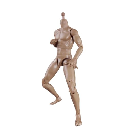 VUSLB 1/6 Scale Mann ActionFigurn Body 12inch Super Flexible Mann Seamless Strong Muscle militär Body Collectible(BD009 Brown) von VUSLB