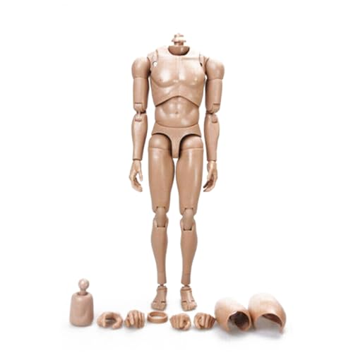 VUSLB 1/6 Scale Mann ActionFigurn Body MX02 Miniature Figur Collectible Without Kopf 12inch militär Doll Body with Thigh Thickening Device & Replacement Hands Accessories(Brown B) von VUSLB