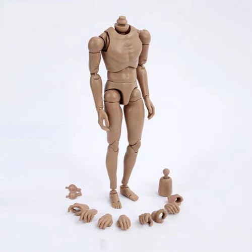 VUSLB 1/6 Scale Mann ActionFigurn Body Miniature Figur Collectible Without Kopf 12inch Flexible Man's Models with Replacement Hands Accessories militär Wide Shoulders Body(ZY-B002 Suntan) von VUSLB