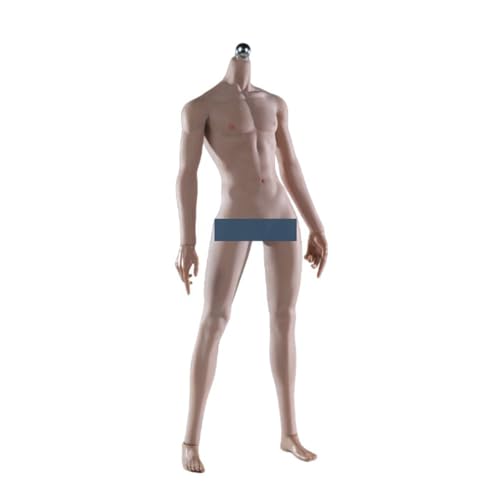 VUSLB 1/6 Scale Mann militär Body 12inch Super Flexible Mann Seamless Long Legs Muscle ActionFigurn Body Collectible (JOK-17A-BS Suntan Skin) von VUSLB