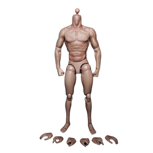 VUSLB 1/6 Scale Mann militär Muscular Body Model 12 inch Europe Skin Mann Flexible ActionFigurn Body MX02-A/B Collectible Without Kopf (Brown S001) von VUSLB