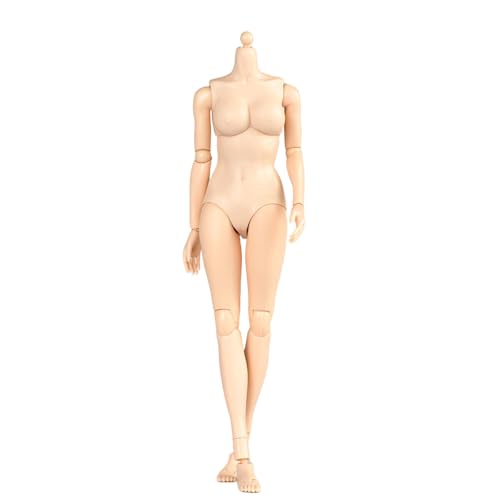 VUSLB 1/6 Scale weiblich ActionFigurn Body 12inch White Skin Moderate Chest Half-Seamless Flexible Joint ActionFigurn Half Pack Adhesive Body Collection von VUSLB