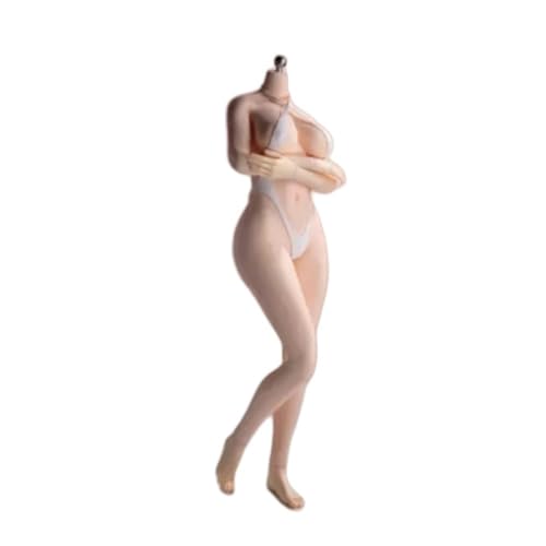 VUSLB 1/6 Scale weiblich ActionFigurn Body 12inch Young Girl Super Flexible weiblich Seamless Beauty Models militär Body Without Kopf Collectible(PLLB2023-S52A Big-Breasted Pale Skin) von VUSLB