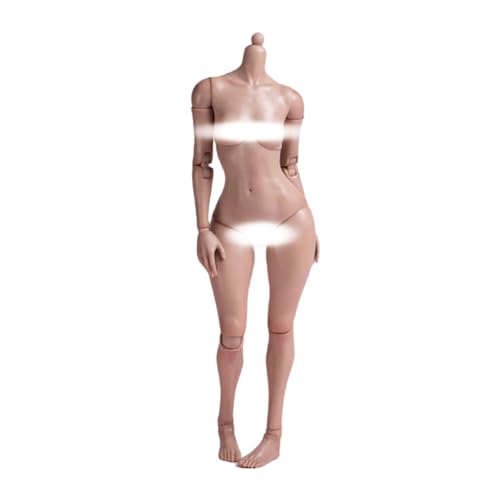 VUSLB 1/6 Scale weiblich ActionFigurn Body 12inch weiblich Joint Flexible Pale Suntan Skin Fat Version militär Body Collection von VUSLB