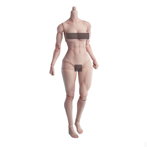 VUSLB 1/6 Scale weiblich ActionFigurn Body AT206 Miniatures Girls Body Collectible 12inch Muscle Strong Super Flexible weiblich Seamless Joint Durable militär Body (AT206A Pale Skin) von VUSLB