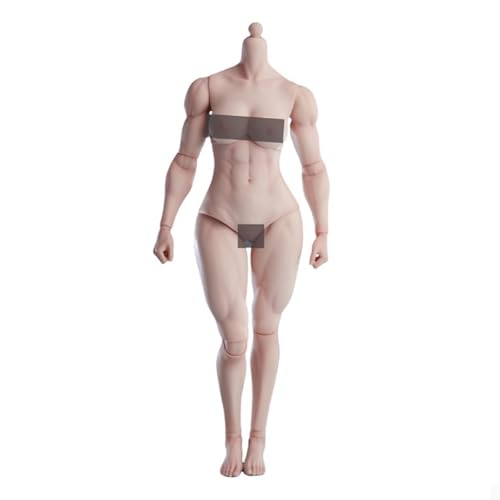 VUSLB 1/6 Scale weiblich ActionFigurn Body AT206 Miniatures Girls Body Collectible 12inch Muscle Strong Super Flexible weiblich Seamless Joint Durable militär Body (AT206B Pale Skin) von VUSLB