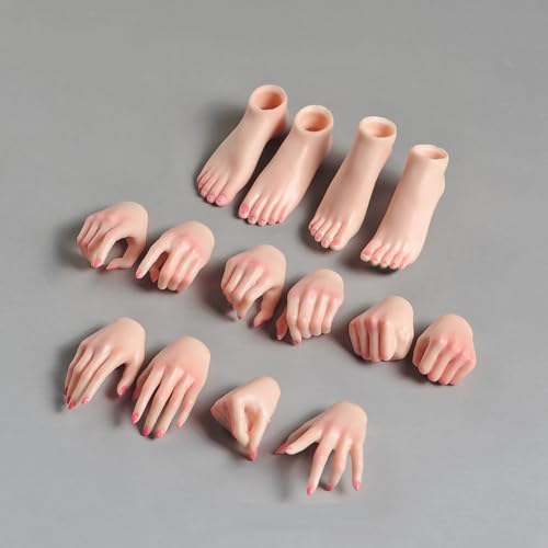 VUSLB 1/6 Scale weiblich ActionFigurn Body Accessories Make Up Model 5 Pairs Hand Shape 2 Pairs Feet Model Fit 12inch Solider ActionFigurn Body Doll (Pale Skin) von VUSLB