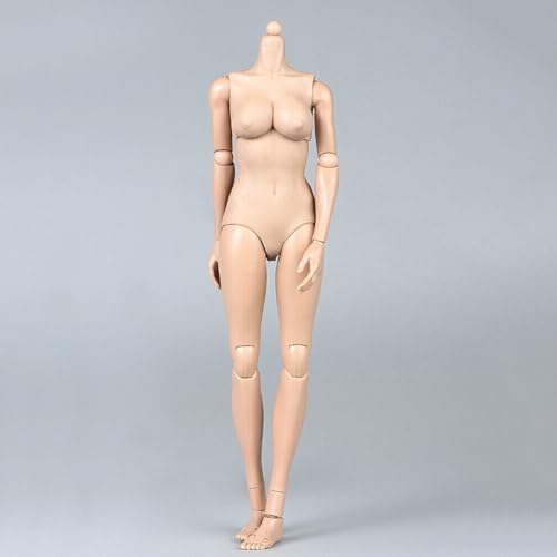 VUSLB 1/6 Scale weiblich militär Body Model 12inch Flexible Miniature ActionFigurn Body Doll Collection Plastic Model Figur (TQ0527 Suntan Skin Giant Bust) von VUSLB