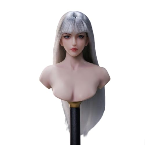 VUSLB 1/6 Scale weiblich militär Kopf Asian Girl Pale Skin Planted Hair Kopf Carved Model fit for 12inch PH TBL JO ActionFigurn Body(Silvery) von VUSLB